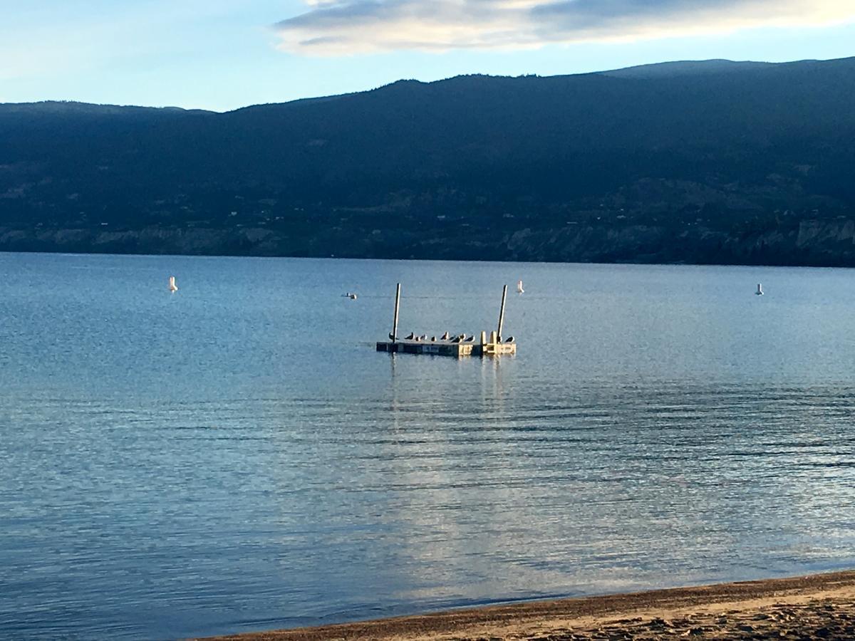 Black Sea Motel Penticton Exterior foto